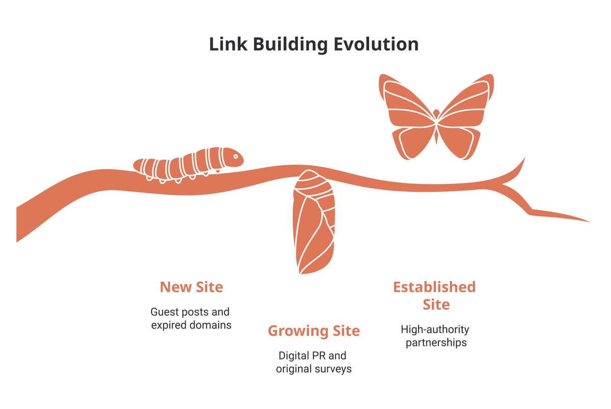 Caterpillar-to-butterfly metamorphosis showing link building maturing across three site stages: new site, growing site, and established site.